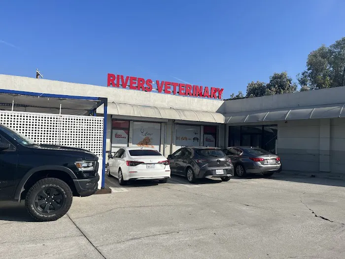 Rivers Veterinary Picture 3