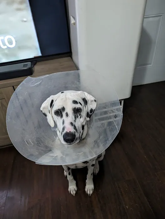 Rivers Veterinary Picture 1