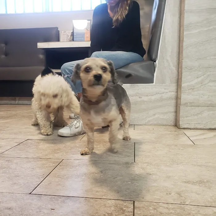 Alameda Animal Hospital Picture 2