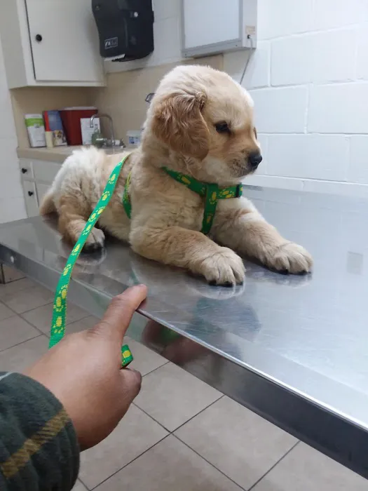 Affordable Animal Hospital: Compton Picture 8