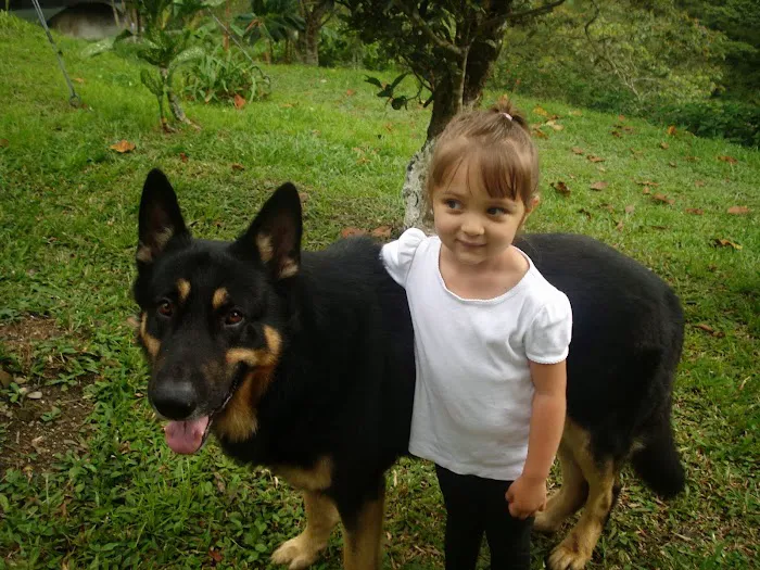 Firestone Animal Hospital Picture 10