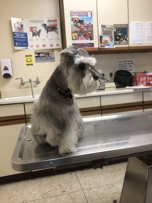 Thomas Veterinary Hospital Picture 1