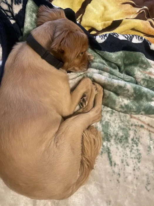 Thomas Veterinary Hospital Picture 4