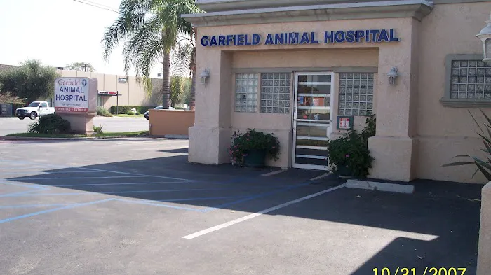 Garfield Animal Hospital Picture 9