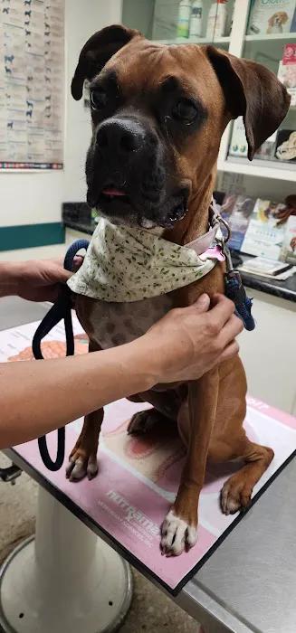 Garfield Animal Hospital Picture 6