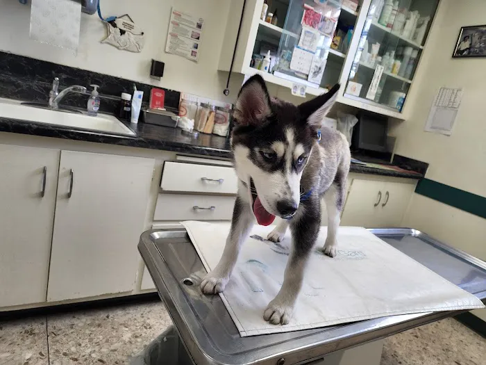 Garfield Animal Hospital Picture 7