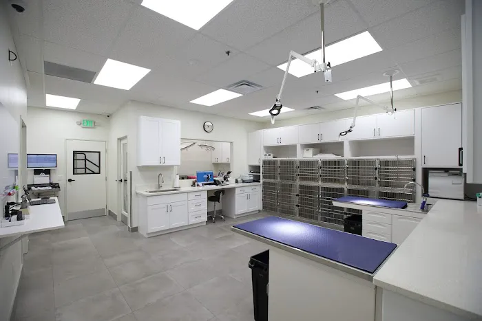 BeWell Animal Hospital Picture 8