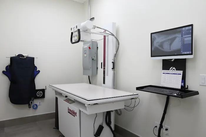 BeWell Animal Hospital Picture 10