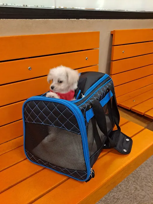 Banfield Pet Hospital Picture 5