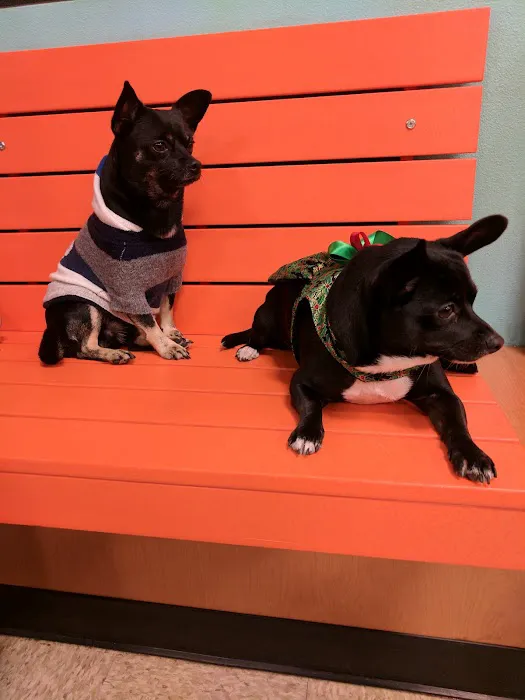 Banfield Pet Hospital Picture 8