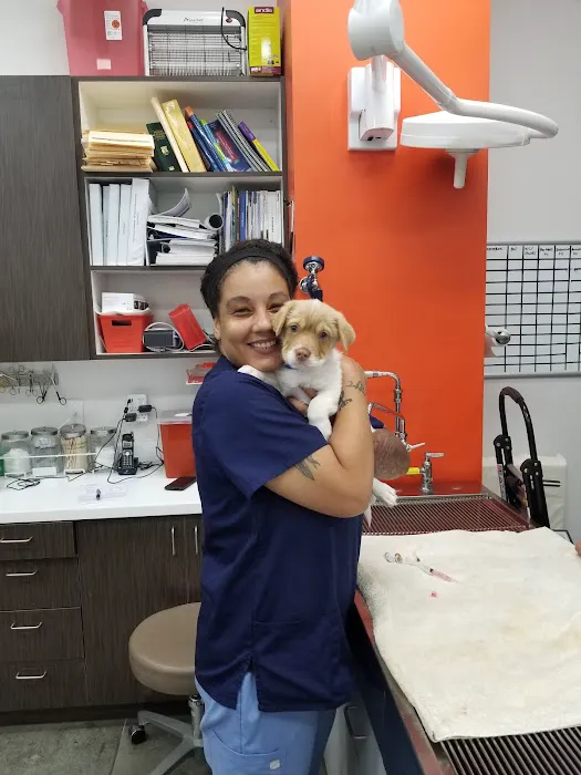 Angel City Animal Hospital Picture 1