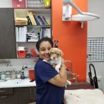 Angel City Animal Hospital