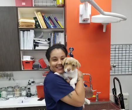 Angel City Animal Hospital