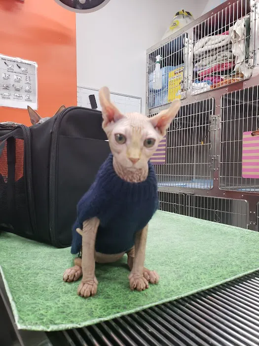 Angel City Animal Hospital Picture 10