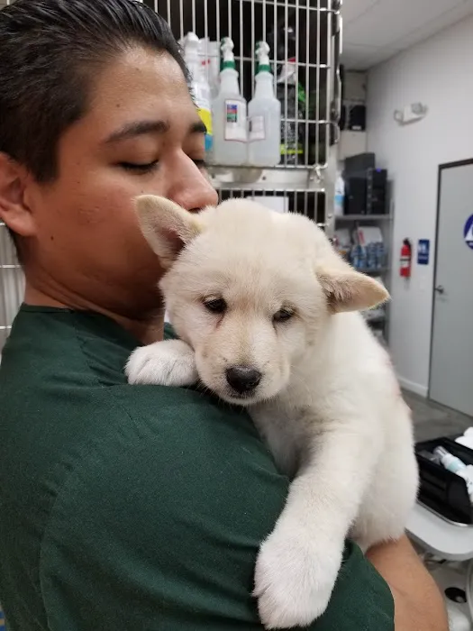 Angel City Animal Hospital Picture 6