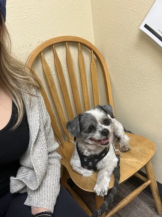 Harbor Animal Hospital Picture 2