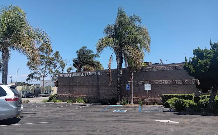 Harbor Animal Hospital Picture 1