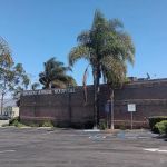 Harbor Animal Hospital