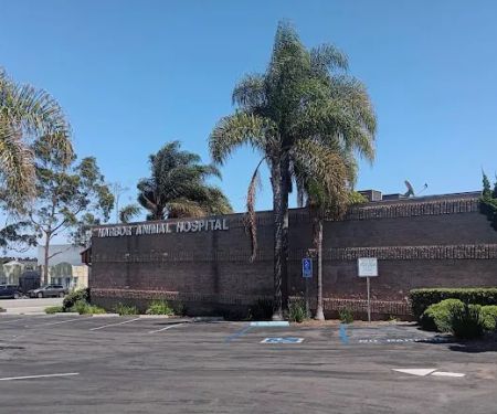 Harbor Animal Hospital