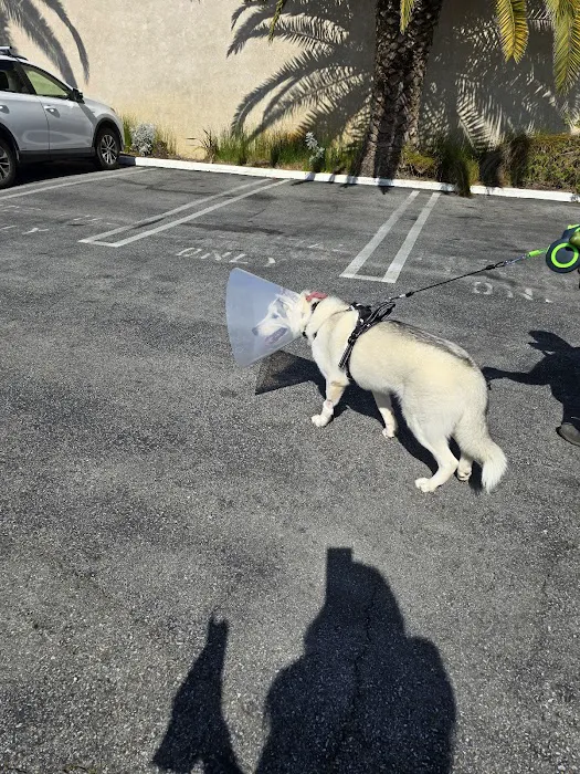 Harbor Animal Hospital Picture 7