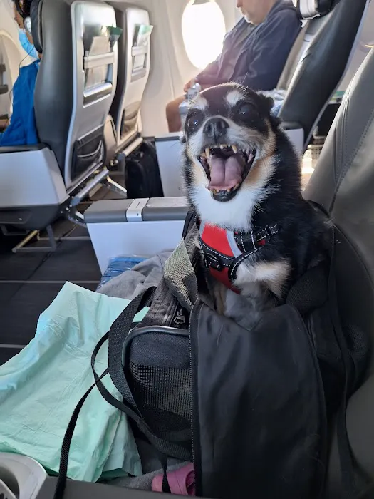 Harbor Animal Hospital Picture 8