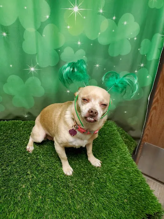 Harbor Animal Hospital Picture 10
