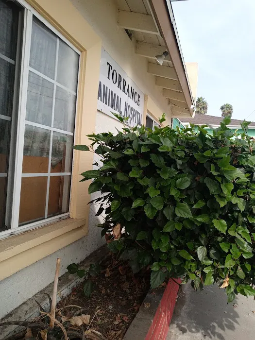Torrance Animal hospital Picture 1