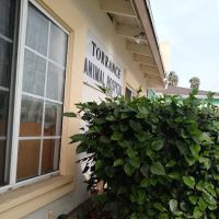 Torrance Animal hospital ico