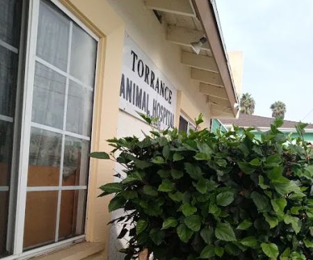 Torrance Animal hospital