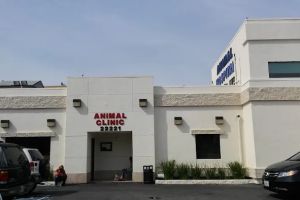 Auto Service Center