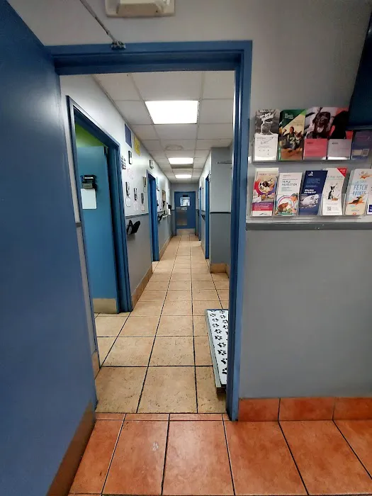 Torrance Companion Animal Hospital Picture 5