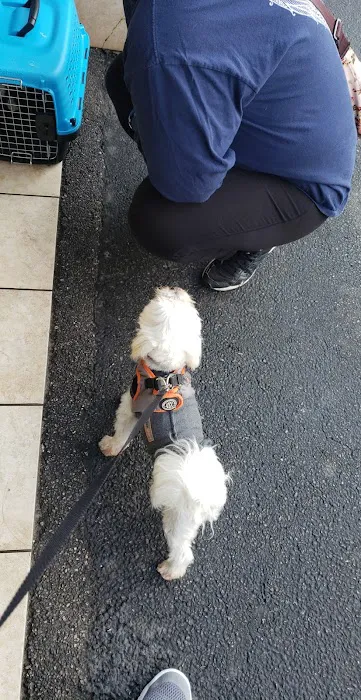 Torrance Companion Animal Hospital Picture 8
