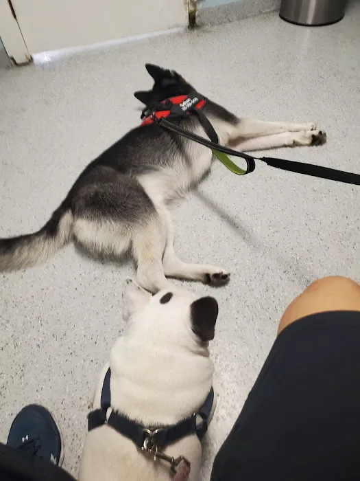 Ohana veterinarian clinic Picture 1