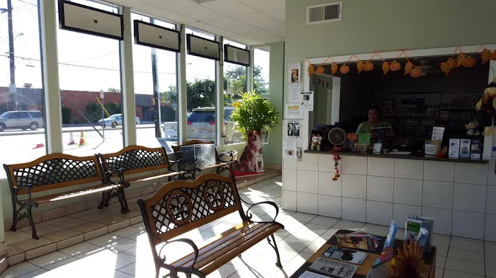 Ohana veterinarian clinic Picture 5