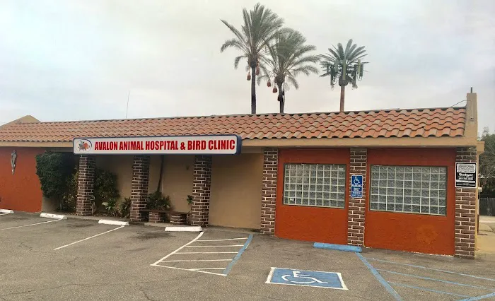 Avalon Animal Hospital & Bird Clinic Picture 10