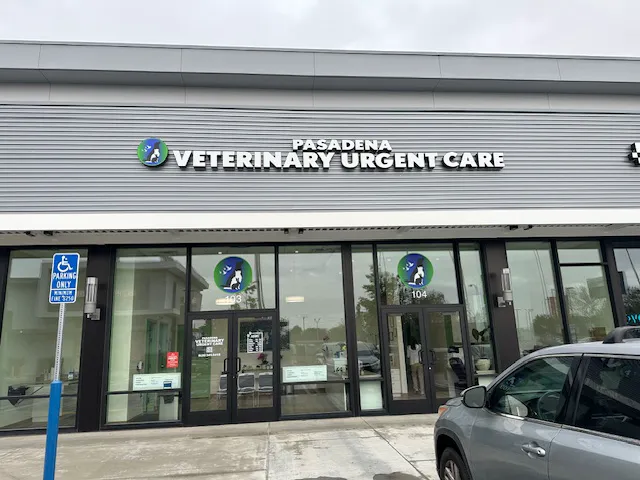 Pasadena Veterinary Urgent Care Picture 2