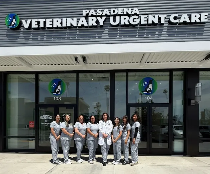 Pasadena Veterinary Urgent Care Picture 6