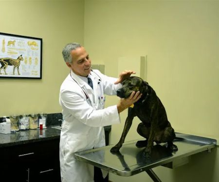 Sierra Madre Animal Hospital