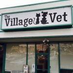 The Village Vet