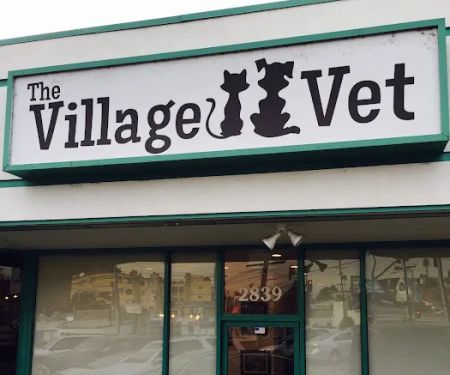 The Village Vet