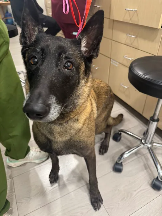 West Main Animal Hospital Picture 4