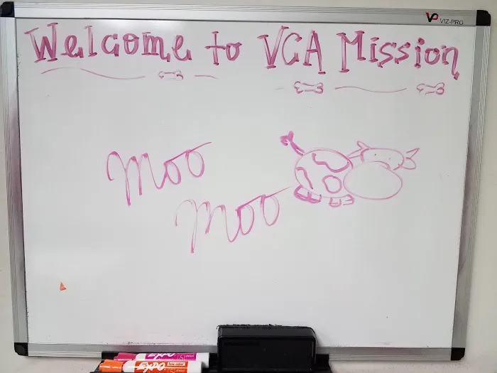 VCA Mission Animal Hospital Picture 3