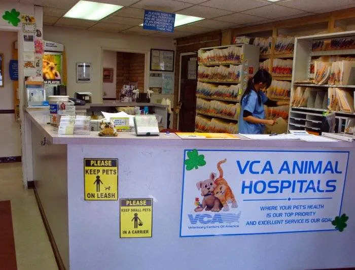 VCA Mission Animal Hospital Picture 7