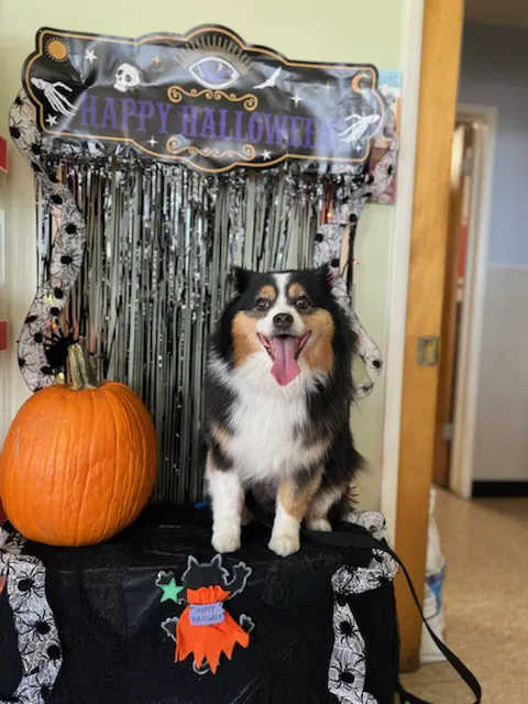 Alhambra Veterinary Hospital Picture 3