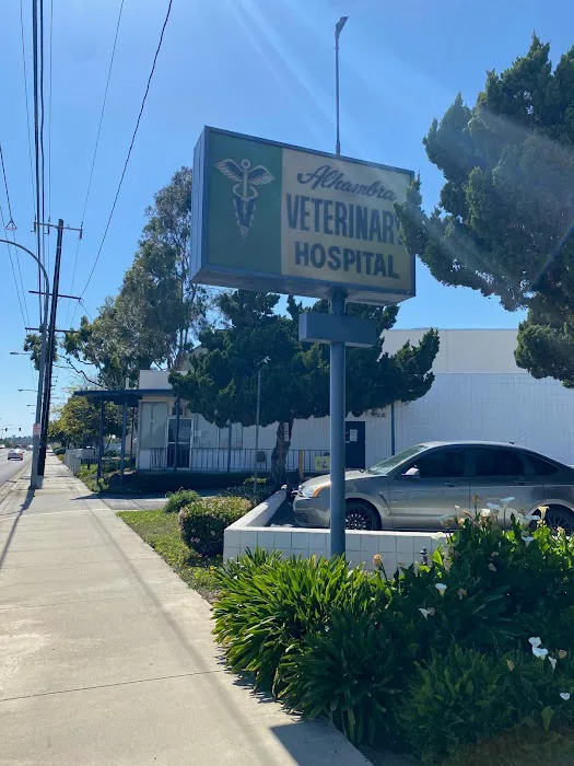 Alhambra Veterinary Hospital Picture 4