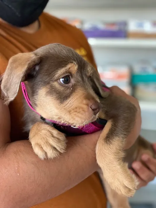 Alhambra Veterinary Hospital Picture 9