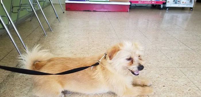 Alhambra Veterinary Hospital Picture 7