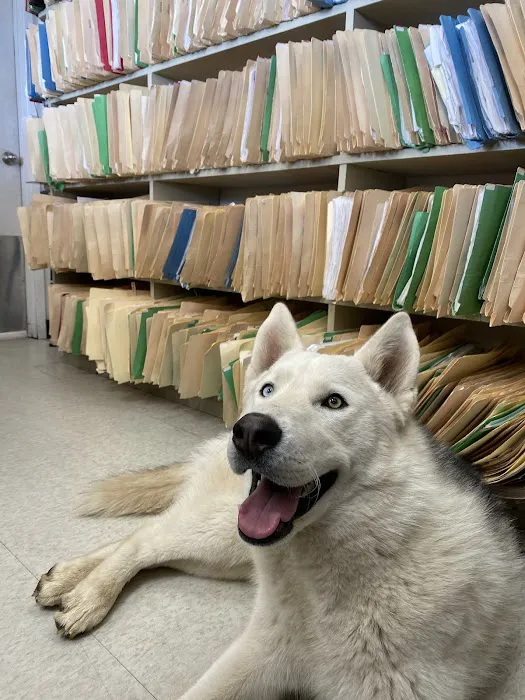 Mission Animal Hospital Picture 3