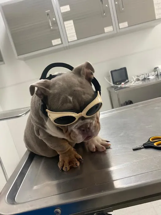 Mission Animal Hospital Picture 2