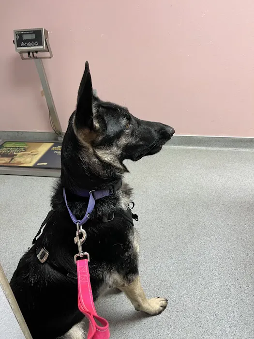 Palmdale Veterinary Hospital Picture 3